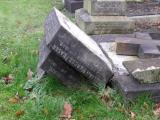 image of grave number 232122
